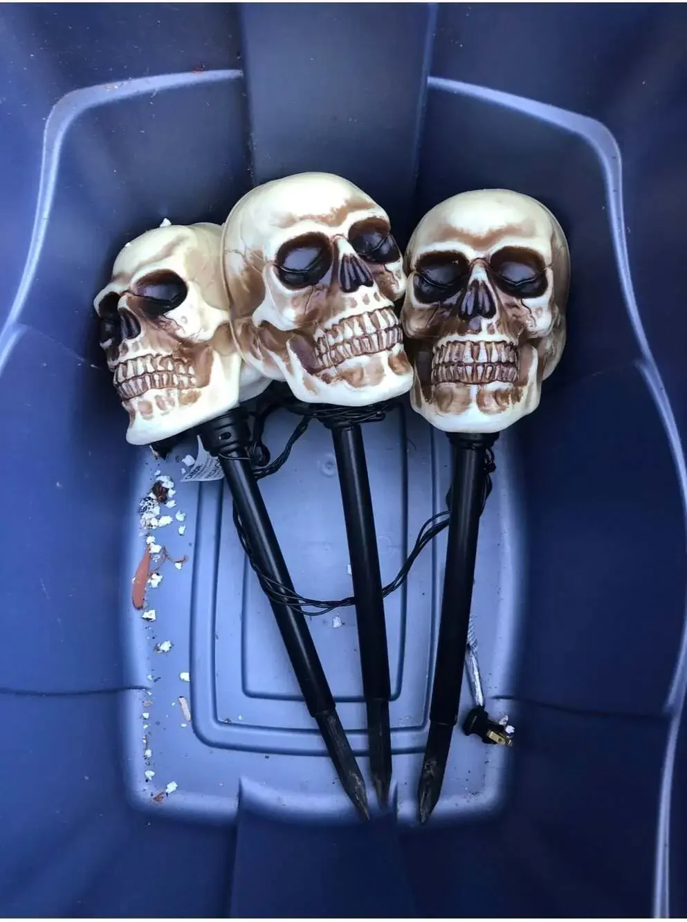 Home Depot 3-Piece Halloween Skull Pathway Stake Lights